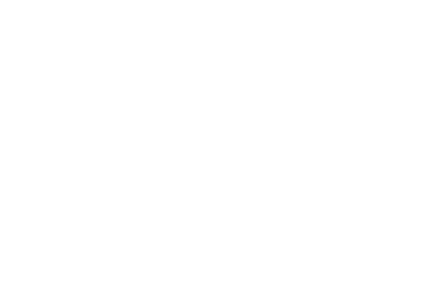 Logo Ber