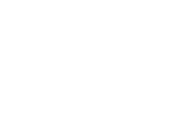 Logo Fagerer
