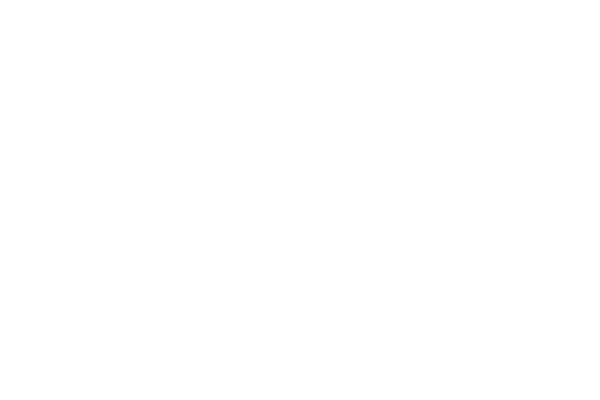 Logo Hechenleitner