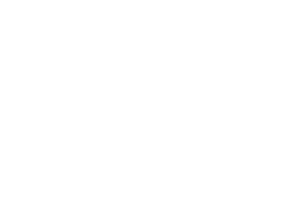 Logo Pichler
